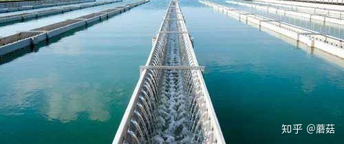 青軟青之助力德陽市自來水公司污水處理實驗室信息化管理升級